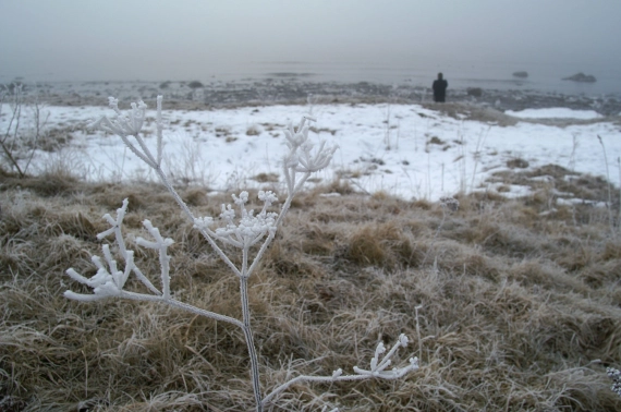 Frosted coast Frosted coast