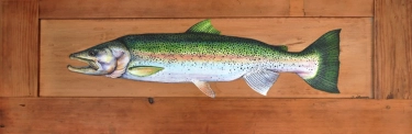 Steelhead Steelhead