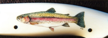 Rainbow trout Rainbow trout