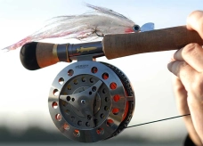 Titanium dreams Titanium dreams