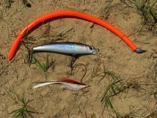 Barracuda lures Barracuda lures