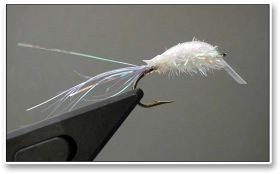 2 Lipped Fly 2 Lipped Fly