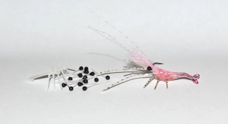 Pink shrimp Pink shrimp