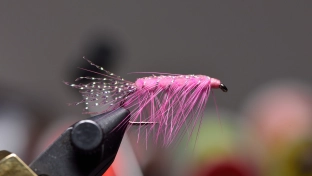 Pink Anguish Pink Anguish