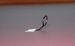 Stand out snake Stand out snake