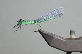 A dragonfly A dragonfly