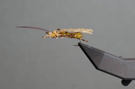 Golden stone Golden stone