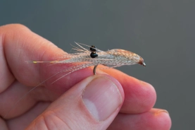 Pretty good looking Pretty good looking