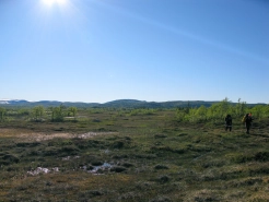 Around the swamp Around the swamp