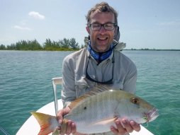 A red snapper A red snapper