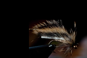 Thick skinned Thick skinned