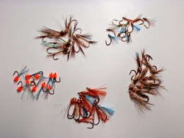 Pacific Salmon flies Pacific Salmon flies