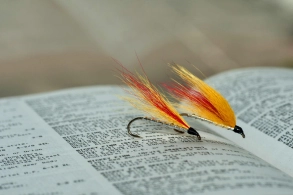 Bucktail and Arctic fox Bucktail and Arctic fox