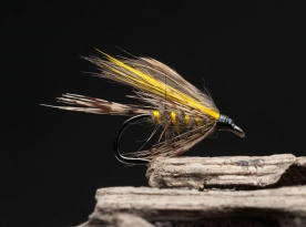 March Brown wet, barbs March Brown wet, barbs