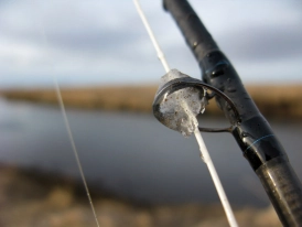 4th of April and frost! 4th of April and frost!