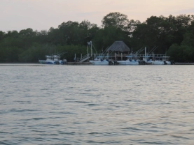 Approach to Zancudo Lodge Approach to Zancudo Lodge