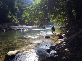 Magic light Magic light