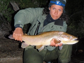 Brown trout Brown trout