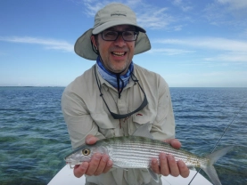 A bonefish A bonefish
