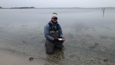 Not big, but welcome Not big, but welcome