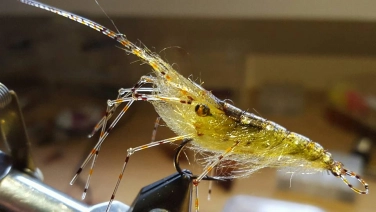 Kern Lund shrimp Kern Lund shrimp