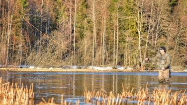 Joyful April day Joyful April day