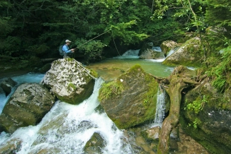 Accurate casts Accurate casts