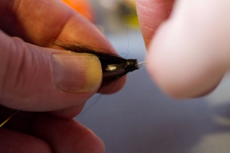 Insert into tube Insert into tube