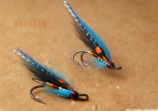 Beygjan flies Beygjan flies