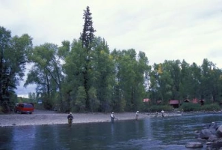 All the signs All the signs