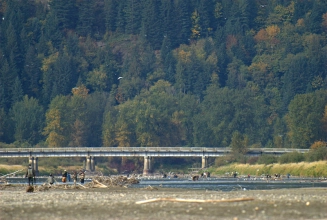 Better move Better move