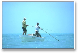 Typical setup Typical setup