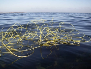 Well greased Well greased