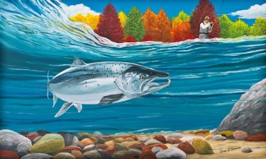 Salmo salar Salmo salar