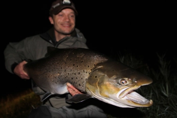 What a fish What a fish