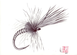 Kings river caddis Kings river caddis