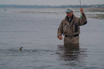 The landing phase The landing phase