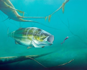 Bass Assassin Bass Assassin