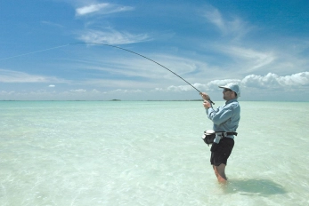 After the strike After the strike