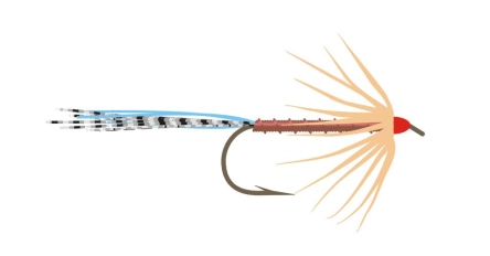 The principle The principle