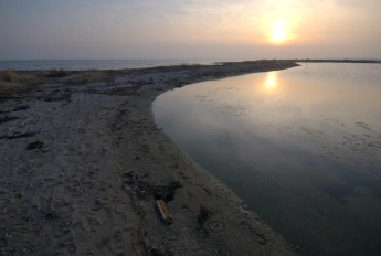 White light White light