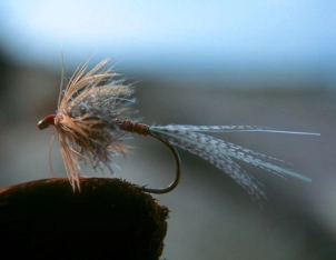 The original The original