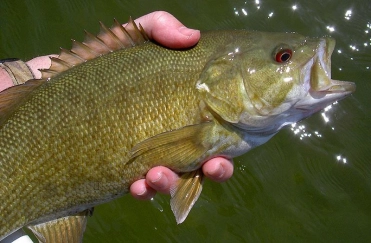 Fishing in New York Gallery Fishing in New York Gallery