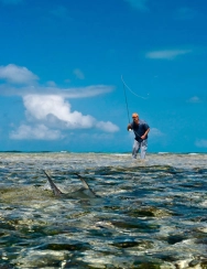 Skinny water Skinny water