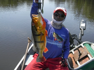 A Tucunaré Azu A Tucunaré Azu