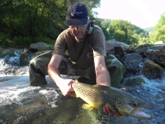 Nice Gradac brown trout Nice Gradac brown trout