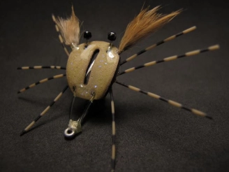 Gutless crab Gutless crab