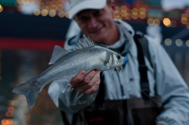 Disco fishing Disco fishing