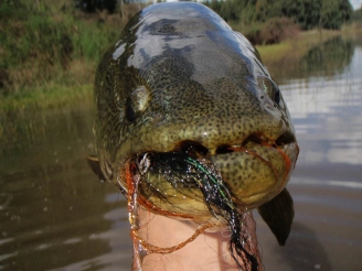 Keep away your fingers Keep away your fingers