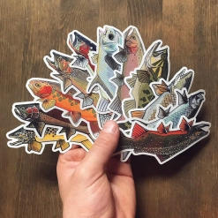 A selection A selection